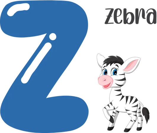 Zebra  Illustration