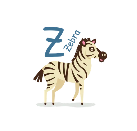 Zebra  일러스트레이션