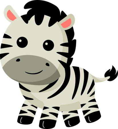 Zebra  Illustration