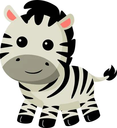 Zebra  Illustration