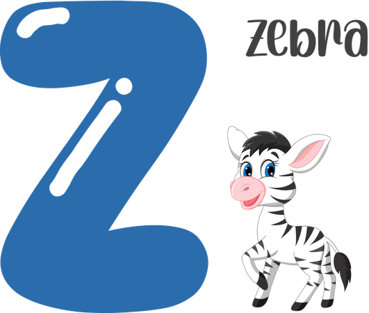 Zebra  Illustration