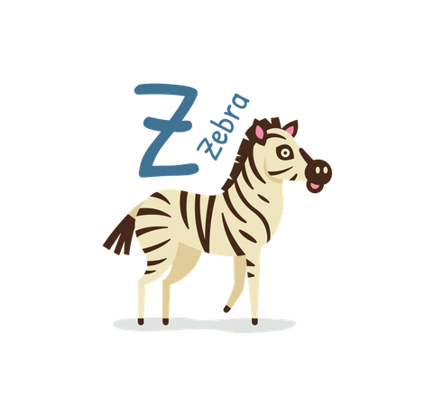 Zebra  Illustration