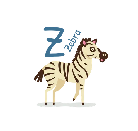 Zebra  Illustration