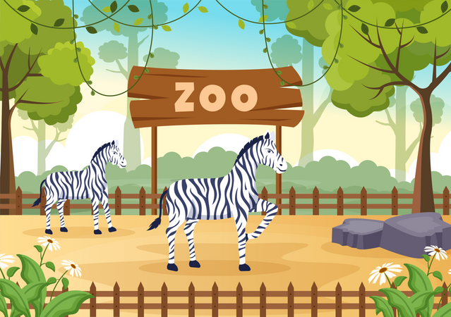 Zebra in zoo  Illustration