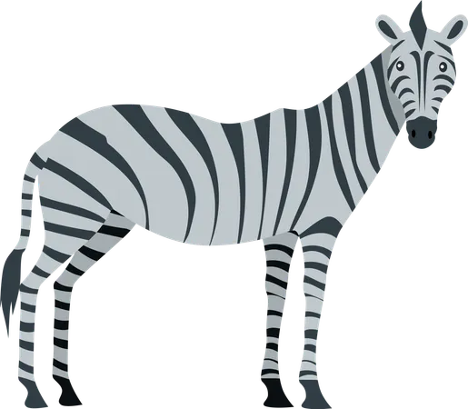 Zebra, Cartoon, Isoated., Afrikanisch, Equiden, Pferd  Illustration