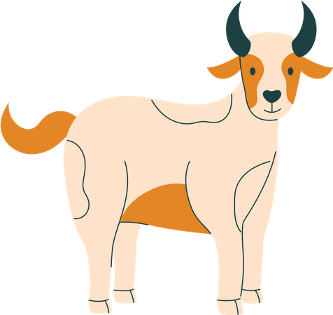 Ziege  Illustration