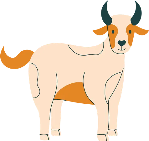 Ziege  Illustration