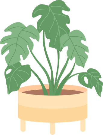 Zimmerpflanze für die Inneneinrichtung eines Büros  Illustration