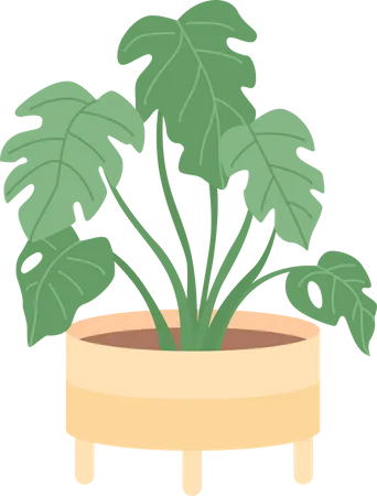 Zimmerpflanze für die Inneneinrichtung eines Büros  Illustration