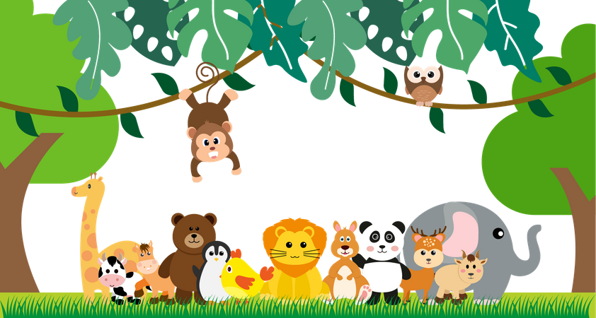 Zoo  Illustration