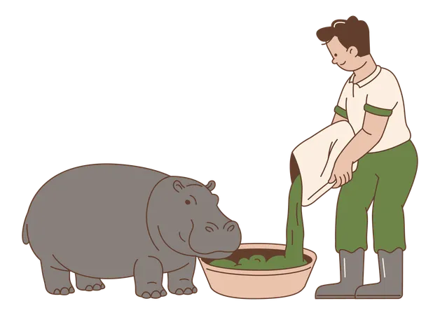 Zookeeper Feeding Hippo  Illustration