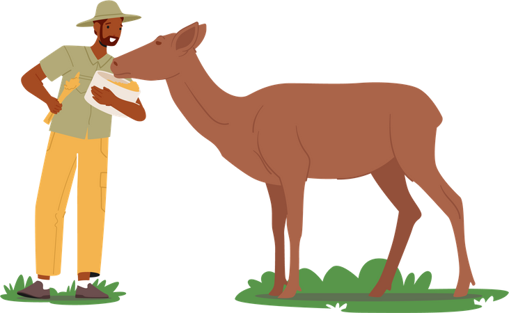 Zoologist feeding animal  Illustration