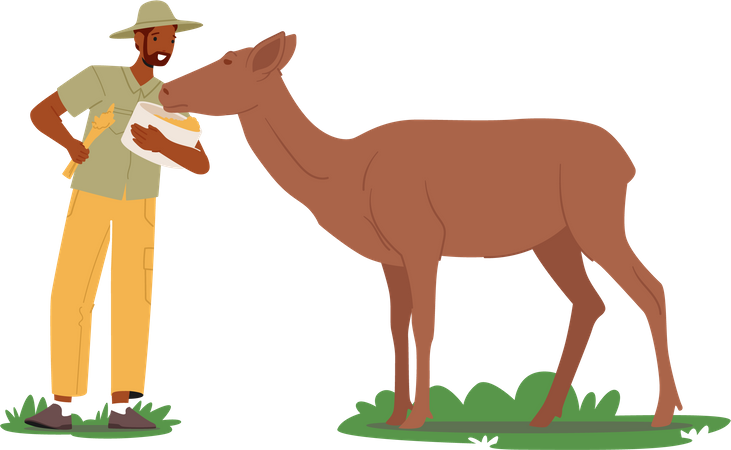 Zoólogo alimentando animal  Ilustração