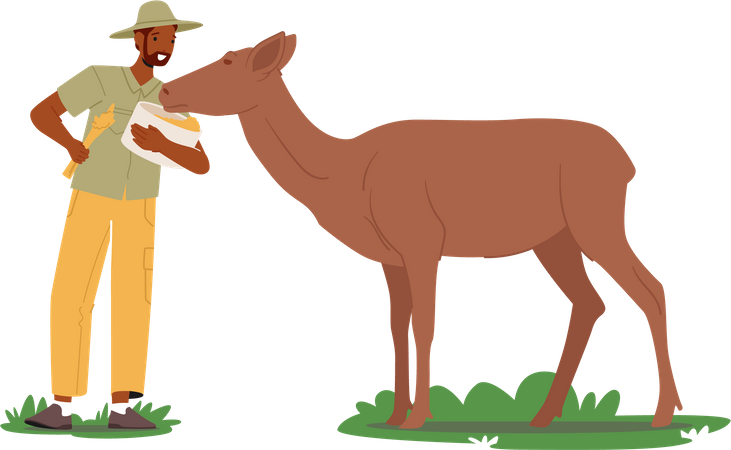 Zoólogo alimentando animales  Ilustración