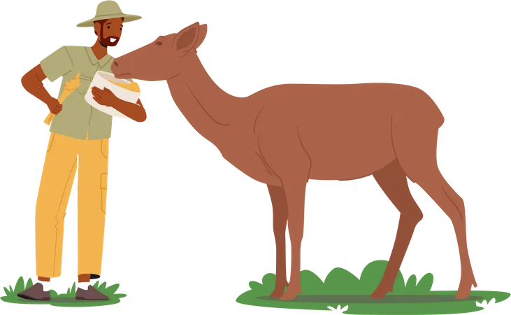 Zoólogo alimentando animales  Ilustración