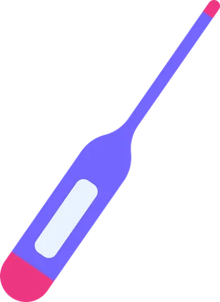 Digital Thermometer