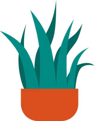 Plant Pot