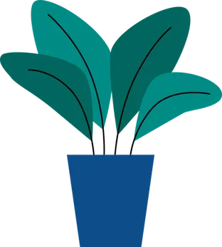 Plant Pot